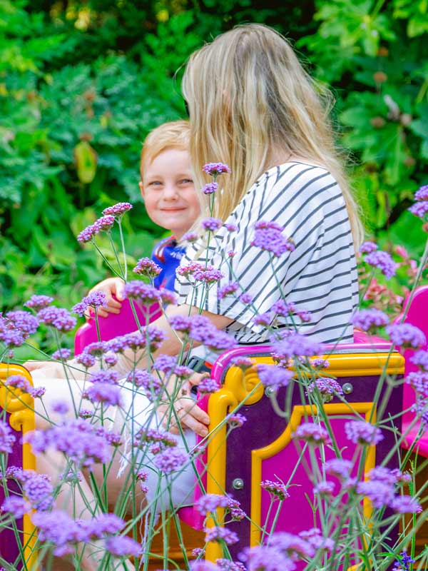 Child and parent riding Professor Blast’s Expedition Express at Paultons Park surrounded by vibrant purple flowers