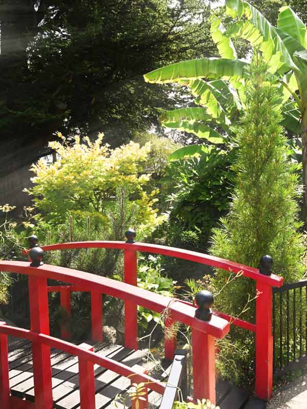 Red wooden bridge surrounded by tropical plants in the Japanese Garden at Paultons Park