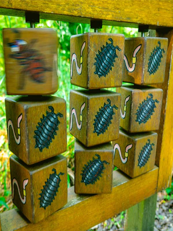 Wooden wildlife activity blocks featuring insects and worms on The Discovery Trail at Paultons Park