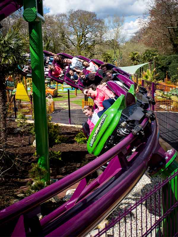 Guests riding Velociraptor at Paultons Park as the roller coaster banks through a fast turn