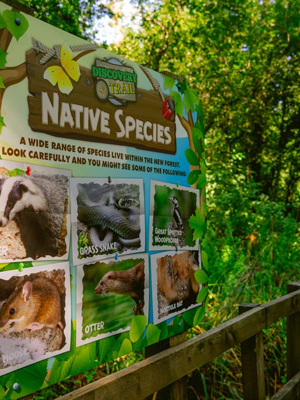 Discovery Trail native species information board highlighting wildlife found at Paultons Park