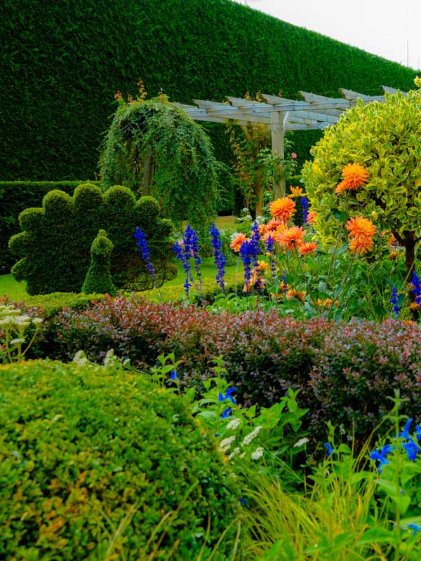 Manicured topiary and vibrant flower beds in John and Anne’s Garden at Paultons Park
