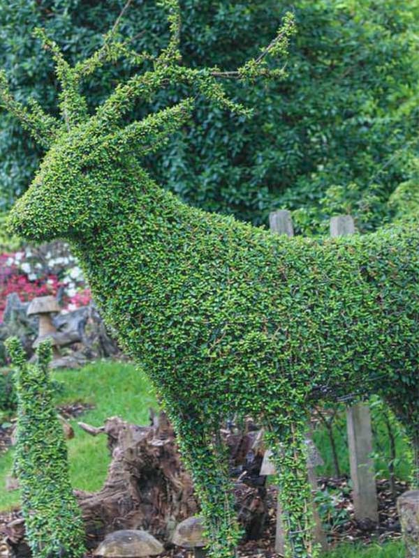 Two topiary rabbits sitting in Forest Friends Garden at Paultons Park among trees and grass