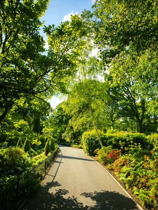 Tree-lined pathway through Main Gardens at Paultons Park