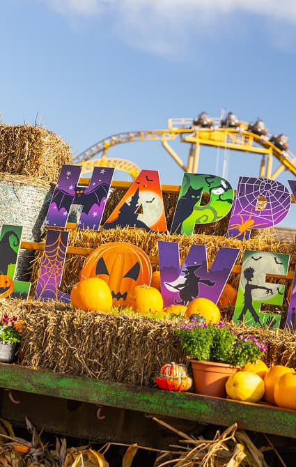 Spooktacular Halloween