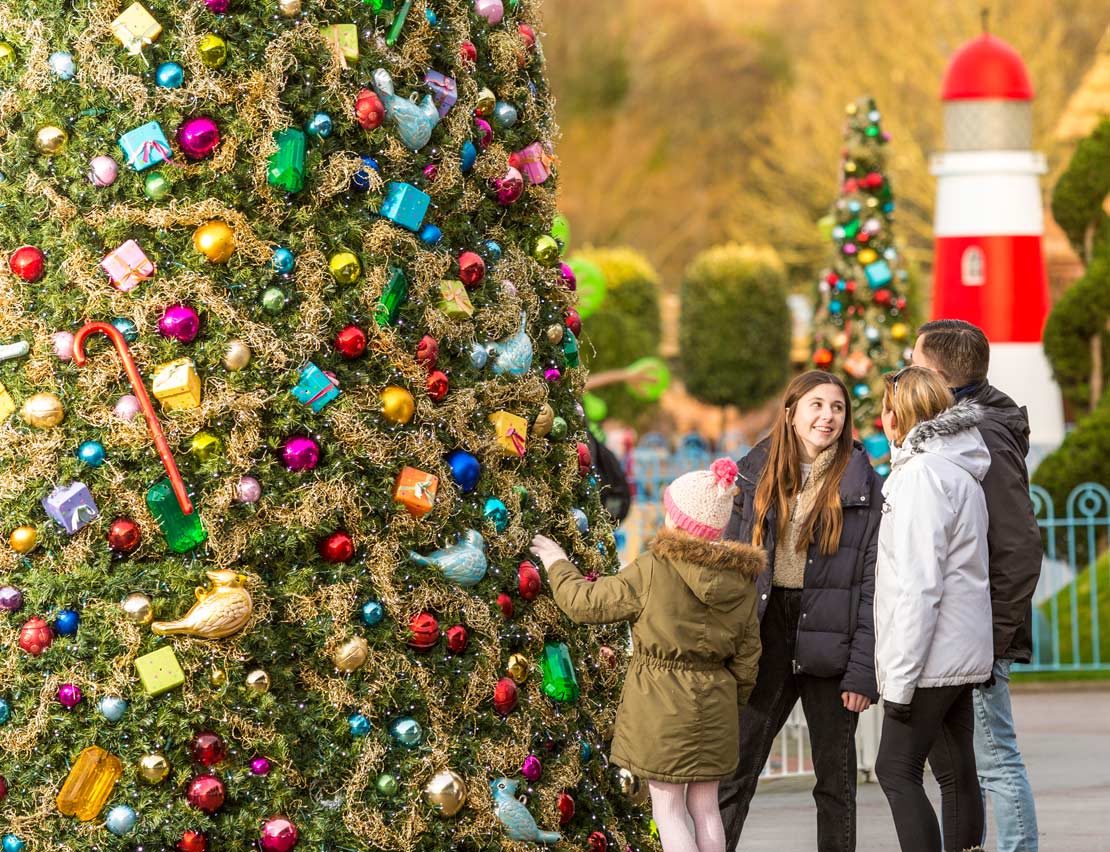 Giant Christmas Trees