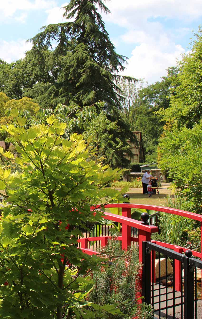 What we do for our Community