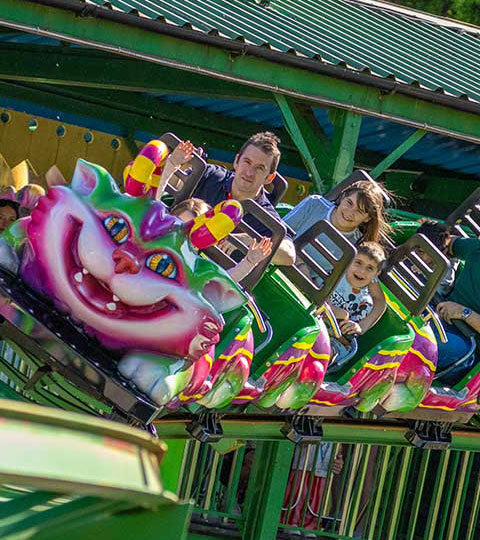 Discover Critter Creek