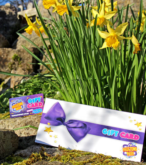 Purchase a Gift Card