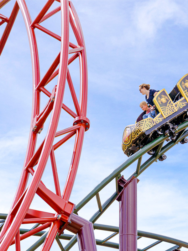 Raven coaster train passing the red track in Valgard at Paultons Park.